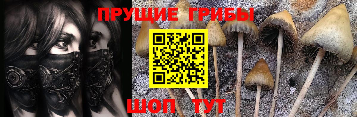 Галлюциногенные грибы GOLDEN TEACHER Лениногорск