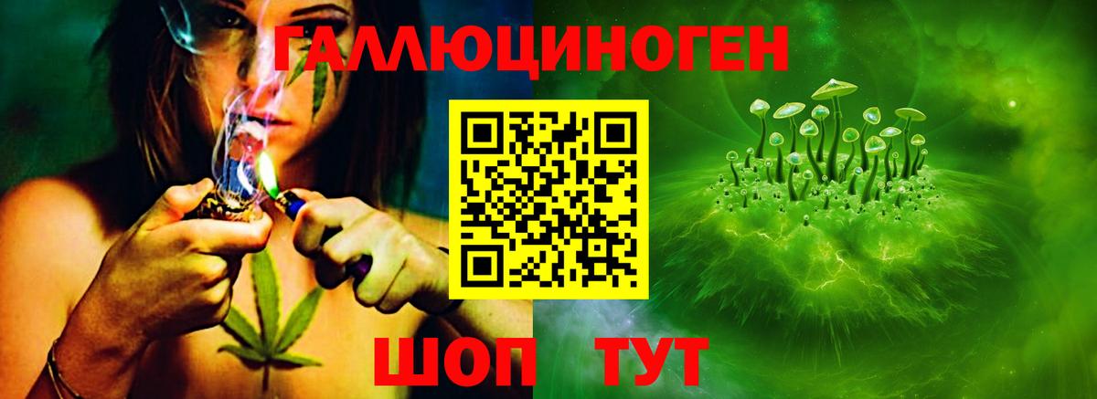 Псилоцибиновые грибы MAGIC MUSHROOMS  Псилоцибиновые грибы Psilocybine cubensis  Лениногорск  Вход с VPN 